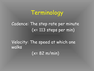 Terminology
Cadence: The step rate per minute
          (x= 113 steps per min)

Velocity: The speed at which one
walks
           (x= 82 m/min)
 