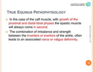 TRUE EQUINUS PATHOPHYSIOLOGY
 In the case of the calf muscle, with growth of the
proximal and distal tibial physes the spastic muscle
will always come in second.
 The combination of imbalance and strength
between the inverters or evertors of the ankle, often
leads to an associated varus or valgus deformity.
19
GaitAbnormalitiesinCP
 