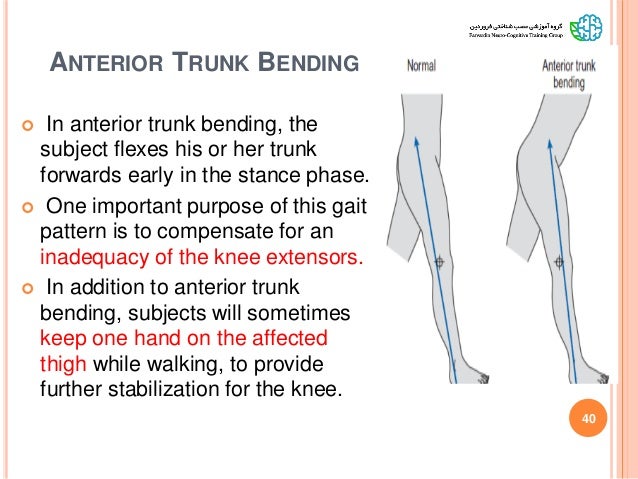 Gait pattern classification in children with cp