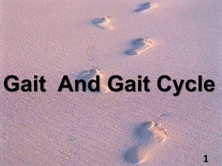Gait And Gait Cycle
1
 