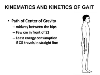 KINEMATICS AND KINETICS OF GAIT
• Path of Center of Gravity
– midway between the hips
– Few cm in front of S2
– Least energy consumption
if CG travels in straight line
 