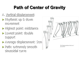 Path of Center of Gravity
 