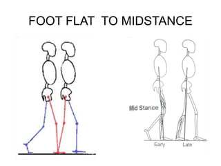 FOOT FLAT TO MIDSTANCE
 