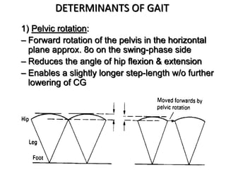 DETERMINANTS OF GAIT
1) Pelvic rotation:
– Forward rotation of the pelvis in the horizontal
plane approx. 8o on the swing-phase side
– Reduces the angle of hip flexion & extension
– Enables a slightly longer step-length w/o further
lowering of CG
 