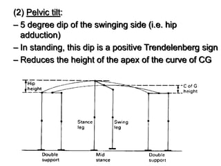 (2) Pelvic tilt:
– 5 degree dip of the swinging side (i.e. hip
adduction)
– In standing, this dip is a positive Trendelenberg sign
– Reduces the height of the apex of the curve of CG
 