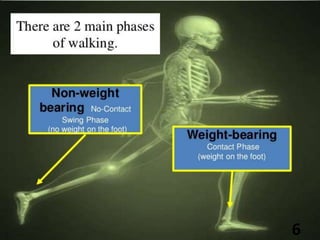 • Gait is style , manner or a pattern of walking.
• Walking pattern may differ from individual to
individual
6
 
