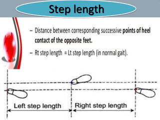 21
Step length
 