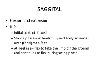 SAGGITAL
• Flexion and extension
• HIP
– Initial contact- flexed
– Stance phase – extends fully and body advances
over plantigrade foot
– At heel rise - flex to take the limb off the ground
and continues to flex during swing phase
 