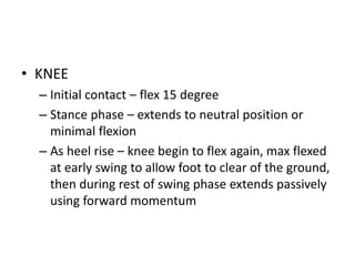 • KNEE
– Initial contact – flex 15 degree
– Stance phase – extends to neutral position or
minimal flexion
– As heel rise – knee begin to flex again, max flexed
at early swing to allow foot to clear of the ground,
then during rest of swing phase extends passively
using forward momentum
 