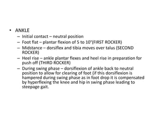 • ANKLE
– Initial contact – neutral position
– Foot flat – plantar flexion of 5 to 10°(FIRST ROCKER)
– Midstance – dorsiflex and tibia moves over talus (SECOND
ROCKER)
– Heel rise – ankle plantar flexes and heel rise in preparation for
push off (THIRD ROCKER)
– During swing phase – dorsiflexion of ankle back to neutral
position to allow for clearing of foot (if this dorsiflexion is
hampered during swing phase as in foot drop it is compensated
by hyperflexing the knee and hip in swing phase leading to
steepage gait.
 