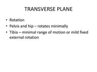 TRANSVERSE PLANE
• Rotation
• Pelvis and hip – rotates minimally
• Tibia – minimal range of motion or mild fixed
external rotation
 