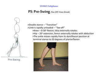 STANCE Subphases
PS:Pre-Swing(Toe-Off/ Knee Break)
>Double stance – “Transition”
>Limb is rapidly unloaded – “Toe-off”
>Knee – 0-30o flexion, tibia externally rotates
>Hip – 20o extension, femur externally rotates with abduction
>The ankle moves rapidly from its dorsiflexion position at
terminal stance to 20 degrees of plantarflexion
 