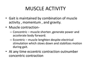 MUSCLE ACTIVITY
• Gait is maintained by combination of muscle
activity , momentum , and gravity.
• Muscle contraction-
– Concentric – muscle shorten ,generate power and
accelerate body forward.
– Eccentric – muscle lenghten despite electrical
stimulation which slows down and stabilizes motion
during gait.
• At any time eccentric contraction outnumber
concentric contraction
 
