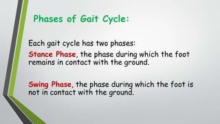 Phases of Gait Cycle:
Each gait cycle has two phases:
Stance Phase, the phase during which the foot
remains in contact with the ground.
Swing Phase, the phase during which the foot is
not in contact with the ground.
 