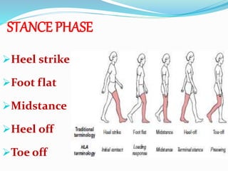 STANCE PHASE
Heel strike
Foot flat
Midstance
Heel off
Toe off
 