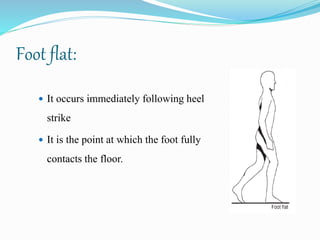 Foot flat:
 It occurs immediately following heel
strike
 It is the point at which the foot fully
contacts the floor.
 