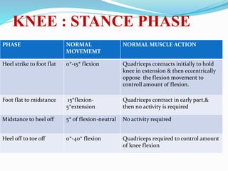 KNEE : STANCE PHASE
PHASE NORMAL
MOVEMEMT
NORMAL MUSCLE ACTION
Heel strike to foot flat 0*-15* flexion Quadriceps contracts initially to hold
knee in extension & then eccentrically
oppose the flexion movement to
controll amount of flexion.
Foot flat to midstance 15*flexion-
5*extension
Quadriceps contract in early part,&
then no activity is required
Midstance to heel off 5* of flexion-neutral No activity required
Heel off to toe off 0*-40* flexion Quadriceps required to control amount
of knee flexion
 