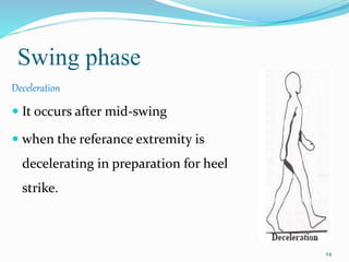 Swing phase
Deceleration
 It occurs after mid-swing
 when the referance extremity is
decelerating in preparation for heel
strike.
24
 