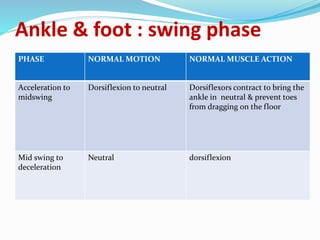 Ankle & foot : swing phase
PHASE NORMAL MOTION NORMAL MUSCLE ACTION
Acceleration to
midswing
Dorsiflexion to neutral Dorsiflexors contract to bring the
ankle in neutral & prevent toes
from dragging on the floor
Mid swing to
deceleration
Neutral dorsiflexion
 