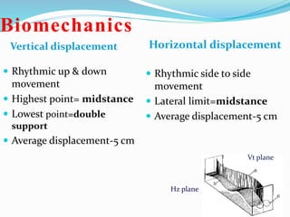 Biomechanics
 Rhythmic up & down
movement
 Highest point= midstance
 Lowest point=double
support
 Average displacement-5 cm
Vertical displacement Horizontal displacement
 Rhythmic side to side
movement
 Lateral limit=midstance
 Average displacement-5 cm
Hz plane
Vt plane
 