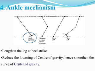 4. Ankle mechanism
•Lengthen the leg at heel strike
•Reduce the lowering of Centre of gravity, hence smoothen the
curve of Center of gravity.
 