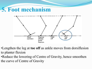 5. Foot mechanism
•Lengthen the leg at toe off as ankle moves from dorsiflesion
to planter flexion
•Reduce the lowering of Centre of Gravity, hence smoothen
the curve of Centre of Gravity
 