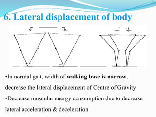 6. Lateral displacement of body
•In normal gait, width of walking base is narrow,
decrease the lateral displacement of Centre of Gravity
•Decrease muscular energy consumption due to decrease
lateral acceleration & deceleration
 