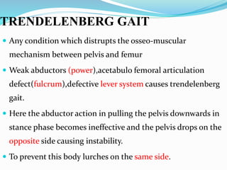 TRENDELENBERG GAIT
 Any condition which distrupts the osseo-muscular
mechanism between pelvis and femur
 Weak abductors (power),acetabulo femoral articulation
defect(fulcrum),defective lever system causes trendelenberg
gait.
 Here the abductor action in pulling the pelvis downwards in
stance phase becomes ineffective and the pelvis drops on the
opposite side causing instability.
 To prevent this body lurches on the same side.
 
