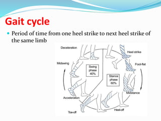 Gait cycle
 Period of time from one heel strike to next heel strike of
the same limb
 