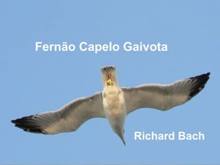 Fernão Capelo Gaivota Richard Bach 