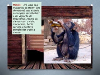 História de uma gaivota . . .