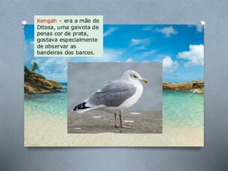 História de uma gaivota . . .