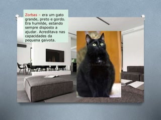 História de uma gaivota . . .