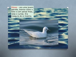 História de uma gaivota . . .