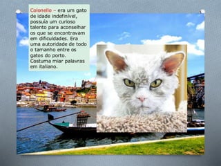 História de uma gaivota . . .