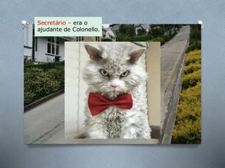 História de uma gaivota . . .