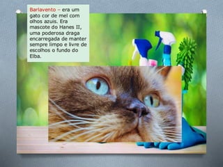 História de uma gaivota . . .