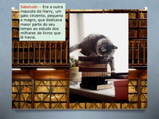 História de uma gaivota . . .