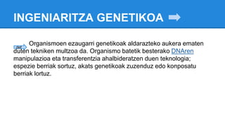 INGENIARITZA GENETIKOA
Organismoen ezaugarri genetikoak aldarazteko aukera ematen
duten tekniken multzoa da. Organismo batetik besterako DNAren
manipulazioa eta transferentzia ahalbideratzen duen teknologia;
espezie berriak sortuz, akats genetikoak zuzenduz edo konposatu
berriak lortuz.
def
 