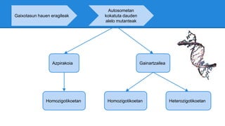 Gaixotasun hauen eragileak
Autosometan
kokatuta dauden
alelo mutanteak
Azpirakoia
Homozigotikoetan Heterozigotikoetan
Gainartzailea
Homozigotikoetan
 