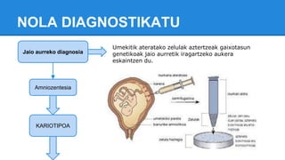 NOLA DIAGNOSTIKATU
Jaio aurreko diagnosia
Umekitik ateratako zelulak aztertzeak gaixotasun
genetikoak jaio aurretik iragartzeko aukera
eskaintzen du.
Amniozentesia
KARIOTIPOA
 