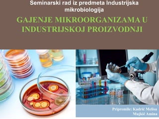 GAJENJE MIKROORGANIZAMA U
INDUSTRIJSKOJ PROIZVODNJI
Seminarski rad iz predmeta Industrijska
mikrobiologija
Pripremile: Kadrić Melisa
Mujkić Amina
 