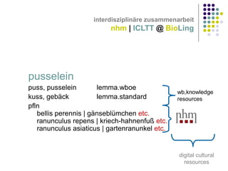 II.b: realisierung

interdisziplinäre zusammenarbeit

nhm | ICLTT @ BioLing

pusselein
puss, pusselein
lemma.wboe
kuss, gebäck
lemma.standard
pfln
bellis perennis | gänseblümchen etc.
ranunculus repens | kriech-hahnenfuß etc.
ranunculus asiaticus | gartenranunkel etc.

wb,knowledge
resources

digital cultural
resources

 