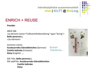 interdisziplinäre zusammenarbeit

nhm | ICLTT @ BioLing

ENRICH + REUSE
Provider
ABCD 206
<xs:element name="FullScientificNameString" type="String">
Bellis perennis L.
</xs:element>
Common names
Ausdauerndes Gänseblümchen (German)
Cvetiče ledinsko (Croatian)
Daisy (English) …..
ESE-Title: Bellis perennis L.
ESE-addTitle: Ausdauerndes Gänseblümchen
Cvetiče ledinsko
Daisy

Busserl
Totenblume …

 