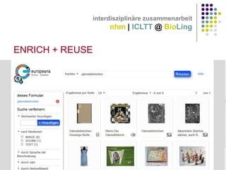 interdisziplinäre zusammenarbeit

nhm | ICLTT @ BioLing

ENRICH + REUSE

 