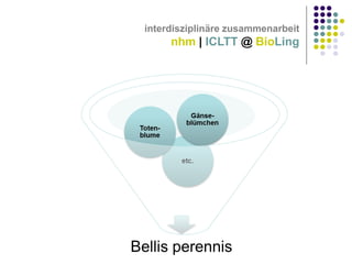 interdisziplinäre zusammenarbeit

nhm | ICLTT @ BioLing

 