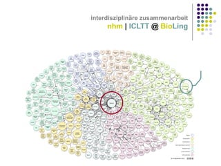 interdisziplinäre zusammenarbeit

nhm | ICLTT @ BioLing

 