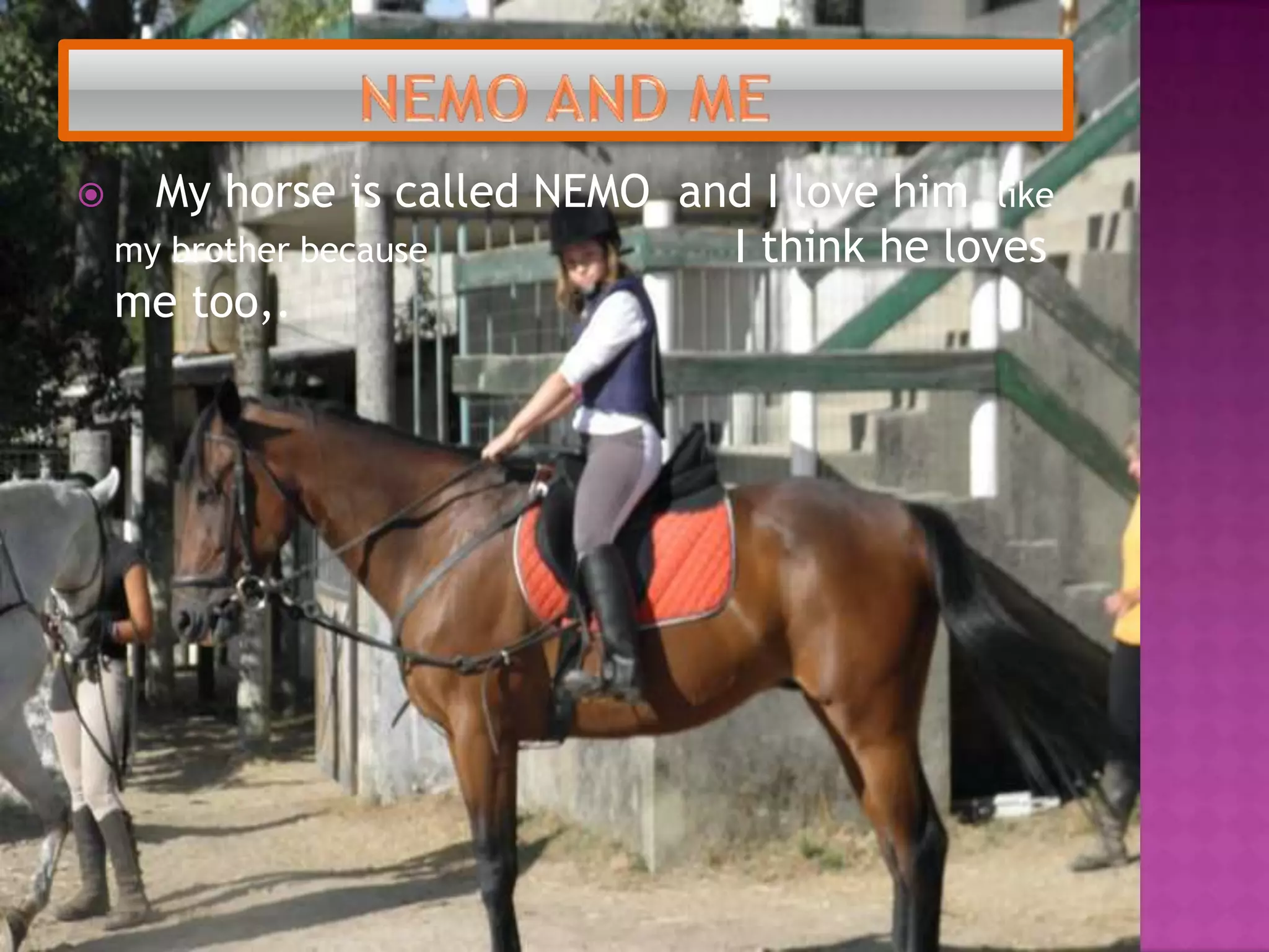 NEMO AND ME My horseiscalled NEMO  and I lovehimlike my brotherbecauseI think he loves me too,.