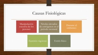 Causas Fisiológicas
Manipulación
excesiva de los
pezones
Niveles elevados
de estrógenos en el
periodo neonatal
Durante el
embarazo
Ejercicio vigoroso Estrés físico
 