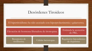 Desórdenes Tiroideos
El hipertiroidismo ha sido asociado con hiperprolactinemia y galactorrea.
Elevación de hormona liberadora de tirotropina.
Receptores de
tiroliberina.
Células lactotropas.
Estimula la secreción
de PRL.
Regulación hipotalámica
de dopamina
 